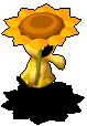 104342.gif